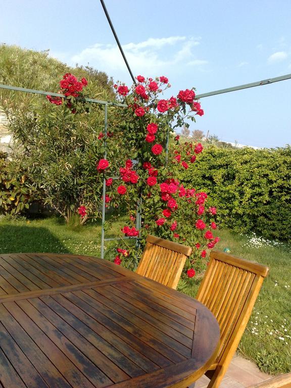 B&B Ariadamare Sanremo Exteriör bild